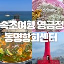 등대 | 속초 영금정,주차장요금,동명항 회센터,매운탕,빨간등대 후기!!