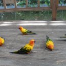 경주버드파크 이미지