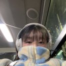 상무본가장어 | 놔둬 자연사야