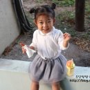 메종드슈슈 이미지