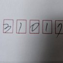 둥근애호박 수세미 마씨앗 이미지
