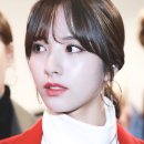 보나 이미지