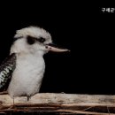 구세군안성요양원 이미지