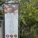 미당면옥 | 당진 청보리밭 걷고 먹은 골동면｜미당면옥 솔직 후기