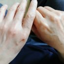 연세 종합 의료기 이미지