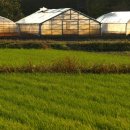 진 농업행정사사무소 이미지