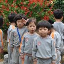 영지유치원 이미지