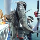 인천유선 이미지