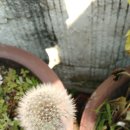 대신중학교4가 2 이미지