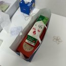 대인자동차공업사 | 우당탕탕 첫 교통사고 일기 | 카카오페이 운전자보험 청구