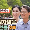 힐링 플러스 이미지