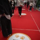 아리가독 | [공지] 2024 메가주 일산(하) 역대급 펫페어 부스 유모차 가격 이벤트 첫날 상세후기