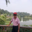 내곡리 Daum카페