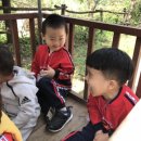 가나안농장1 이미지