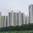 개포서울약국 | 신축 vs. 구축 아파트, 장단점 완벽 비교