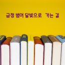 다솜호산지역아동센터 | &lt;100-10&gt;달빛산행 금정 범어 달빛으로 가는 길
