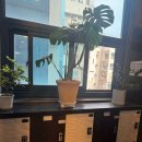 선사업지구 이미지