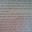 세상에서가장아름다운나무 이미지