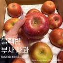 두둑 | 경북 부사 아삭한 맛이 명품인 블랙빈 사과