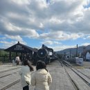 곡성생태체험관 | 전남 아이와 함께가기 좋은 곳, 곡성 섬진강 기차마을