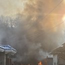 진화목장 이미지