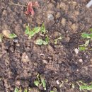 한결농장 이미지