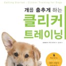 스탠독 이미지