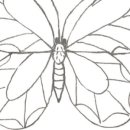 드로잉 & 창의미술 이미지