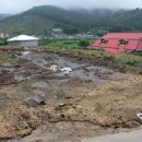 박종국 농장 이미지