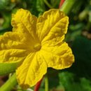 대구가톨릭대학교 루가캠퍼스 이미지