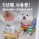 다란동물병원 | 강아지귀염증 냄새 날 때 꼭 쓰는 베테리신플러스 후기 5년째사용중