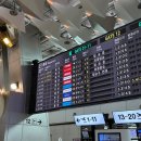 (주)유오 | 회사 째고 힐링 제주 (❁´◡`❁)