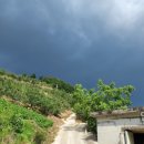 중호농장 이미지