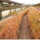 용답휴식공원(신답역) 이미지