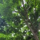 대공원충전소(주) 이미지