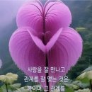 무괴아심