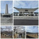 국립서울 현충원 만남의집 식당 | 국립서울현충원 수양버들벚꽂나들이(사진명소/주차/식당/카페/꽃집 안내)