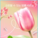 법무법인새반석 이미지