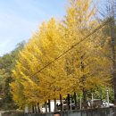 원주연세병원 이미지