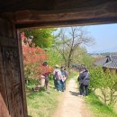 백송농장 | 조선 최대 실학자, 추사 김정희 고택, 옛 정취를 찾아서..