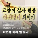은애마당 | 부산 진구 바퀴벌레 퇴치업체 버그클리닉 원룸 출장 이용 후기