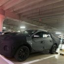 김박사카 이미지