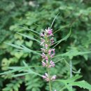 오마도터널 이미지