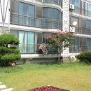 자산동240 이미지