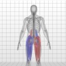 은평바른한의원 이미지