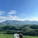 기와목장 이미지