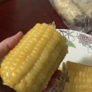 옥수농산 | 대한민국농산 스토어팜에서 산 옥수수🌽
