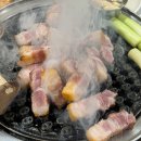 앞산강아지 이미지