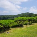 파주수목장 이미지