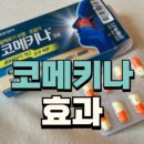 코메키나 캡슐 졸음 부작용 가격 성분 효과 복용 후기